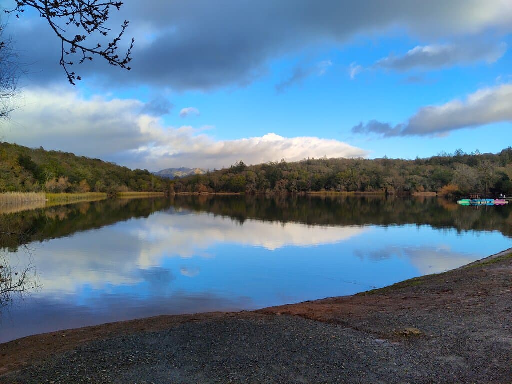 Howarth Park in Santa Rosa. February 2023.