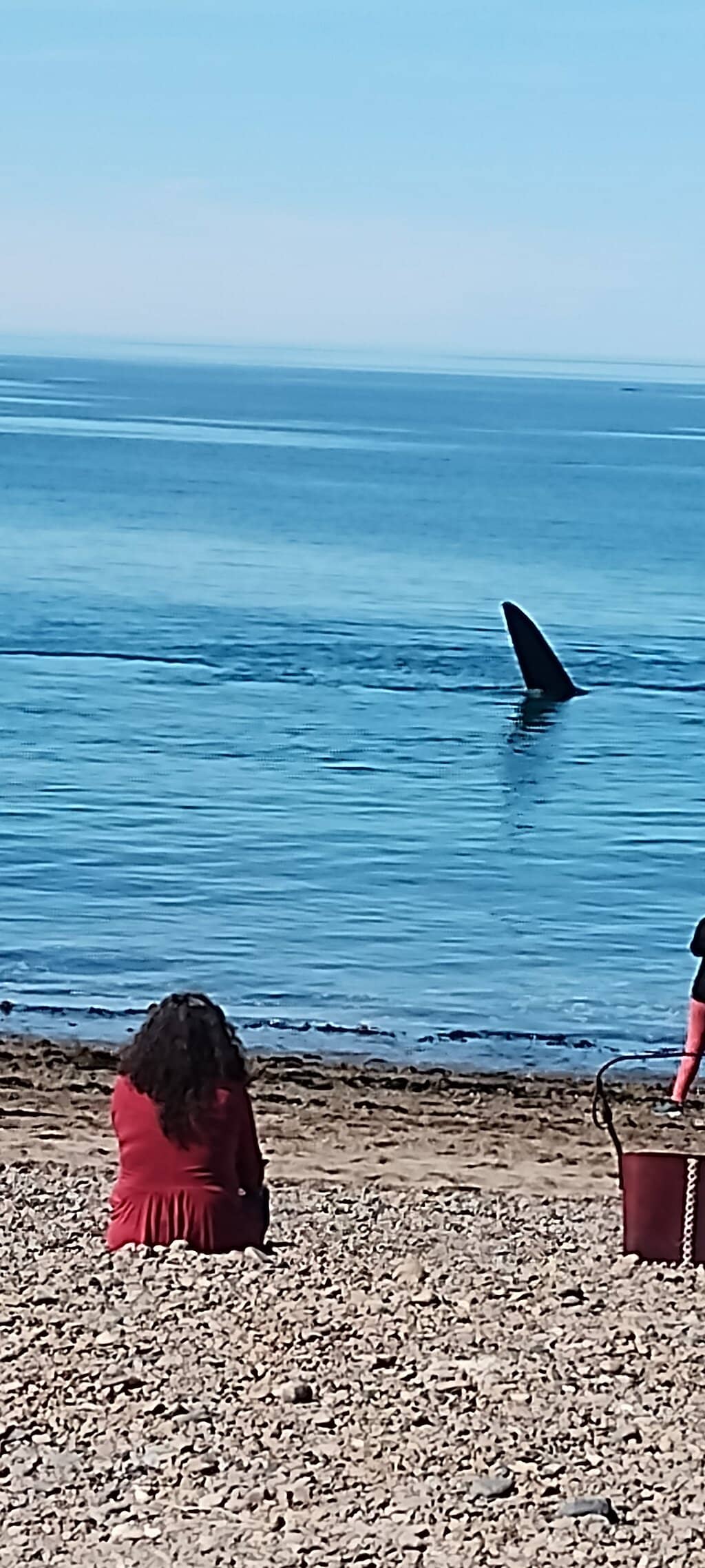 El Doradillo Protected Area