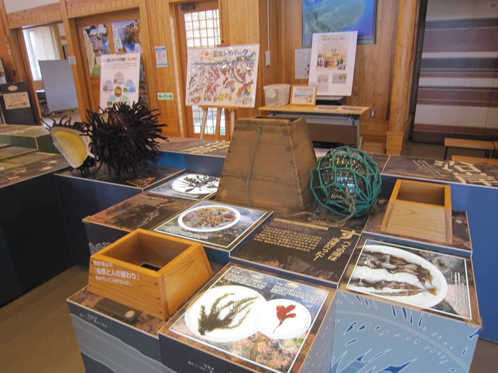 Michinoku Coastal Trail Info