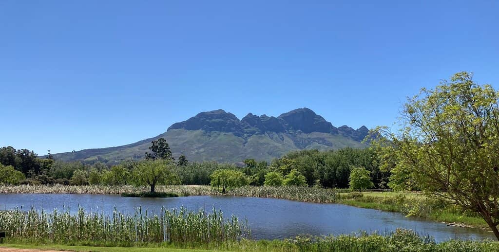 Italian Wine Varieties