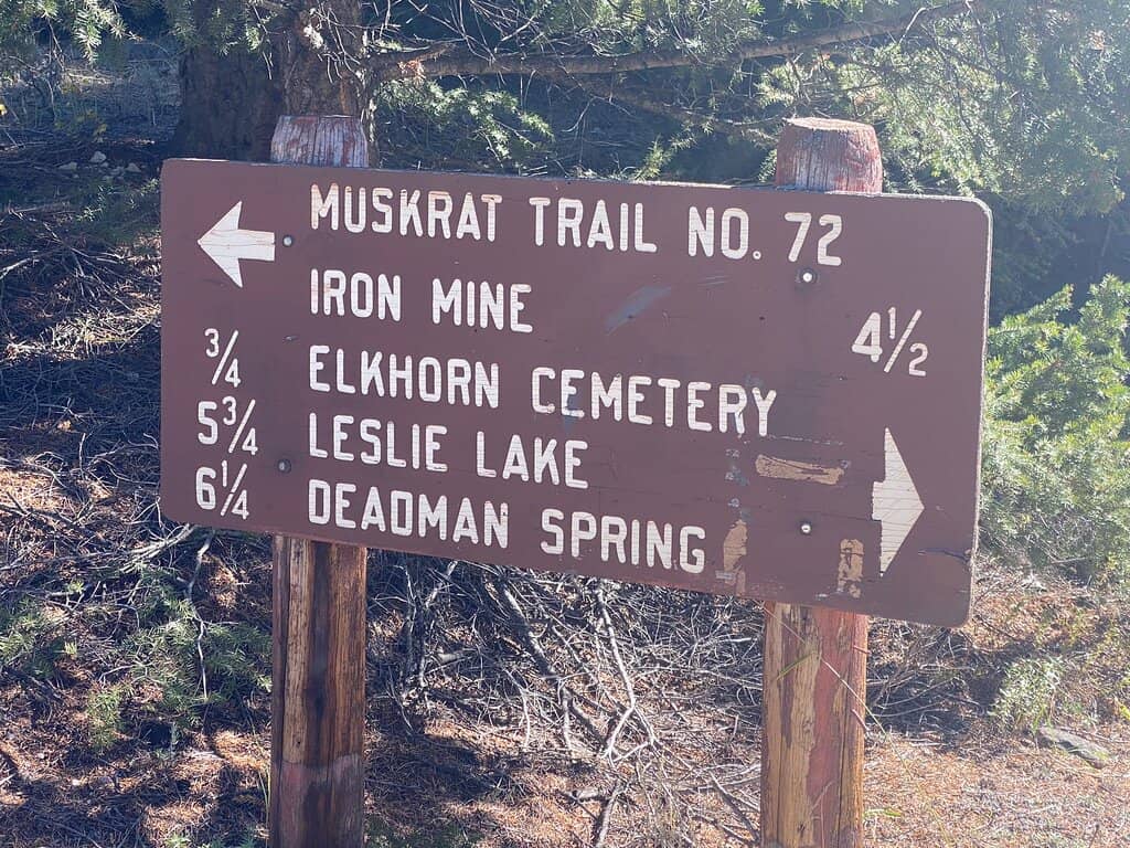 Remnants of a Bygone Era