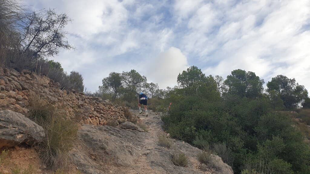 Scenic Lookouts