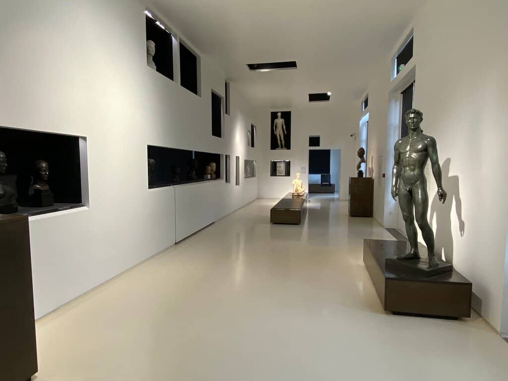 Sunlit Exhibition Spaces