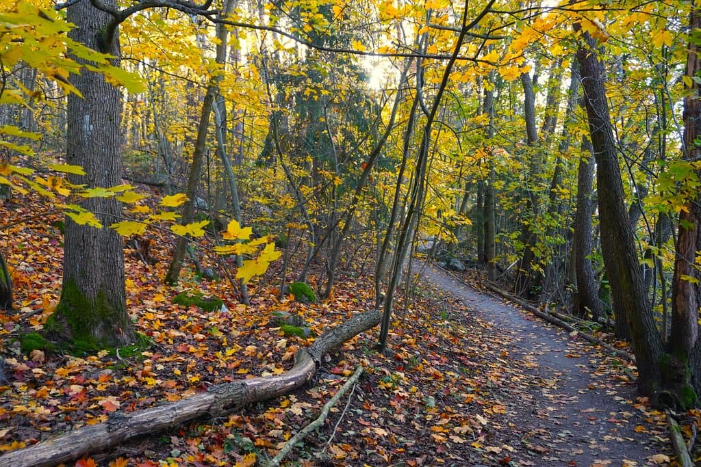 Beautiful autumn colors in October