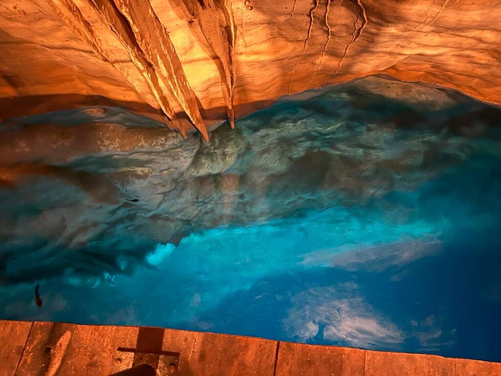 Rappelling Adventure