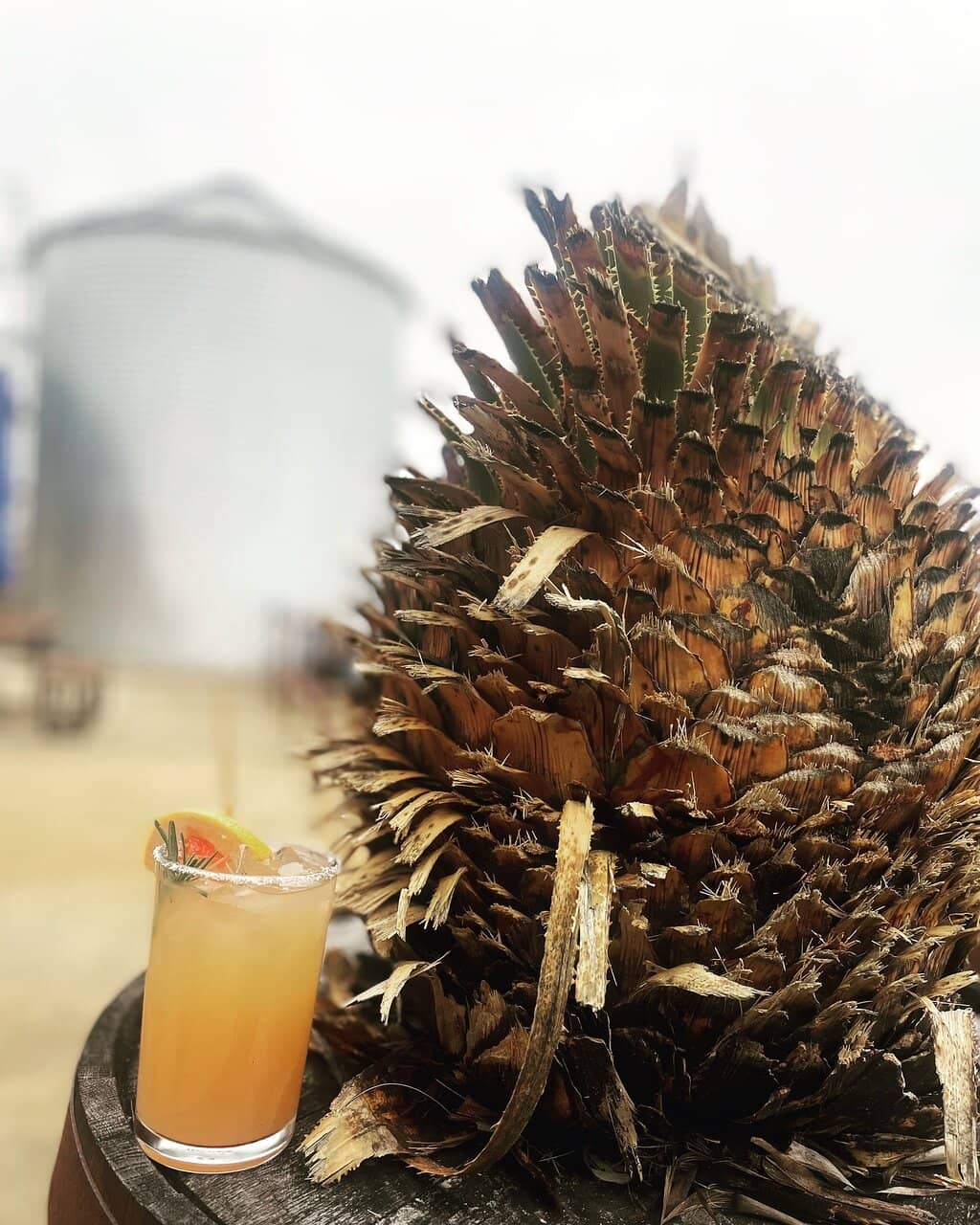 Craft Cocktails