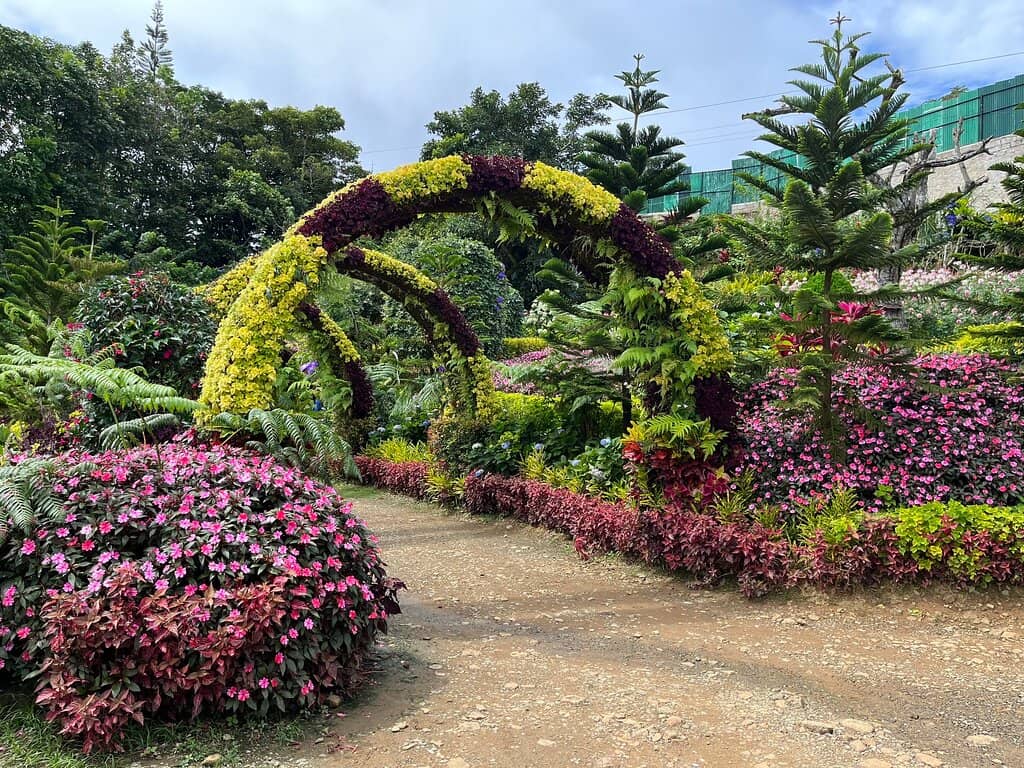 Vibrant Flower Fields