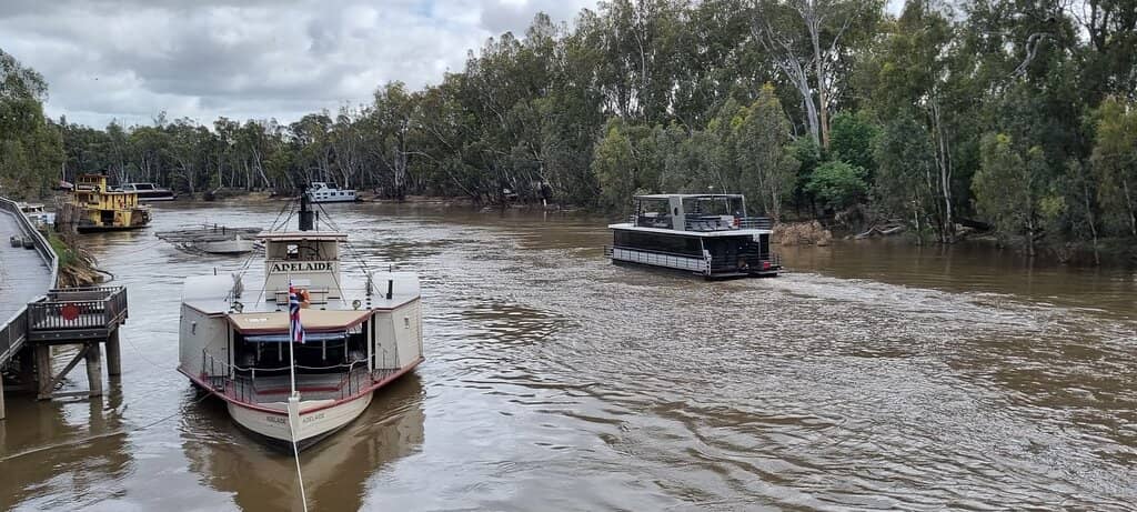 Paddle Steamer Cruises