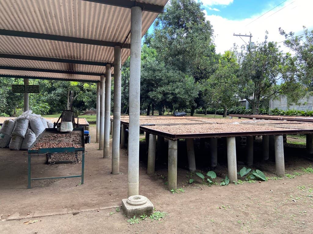 Macadamia Smoked Sampler