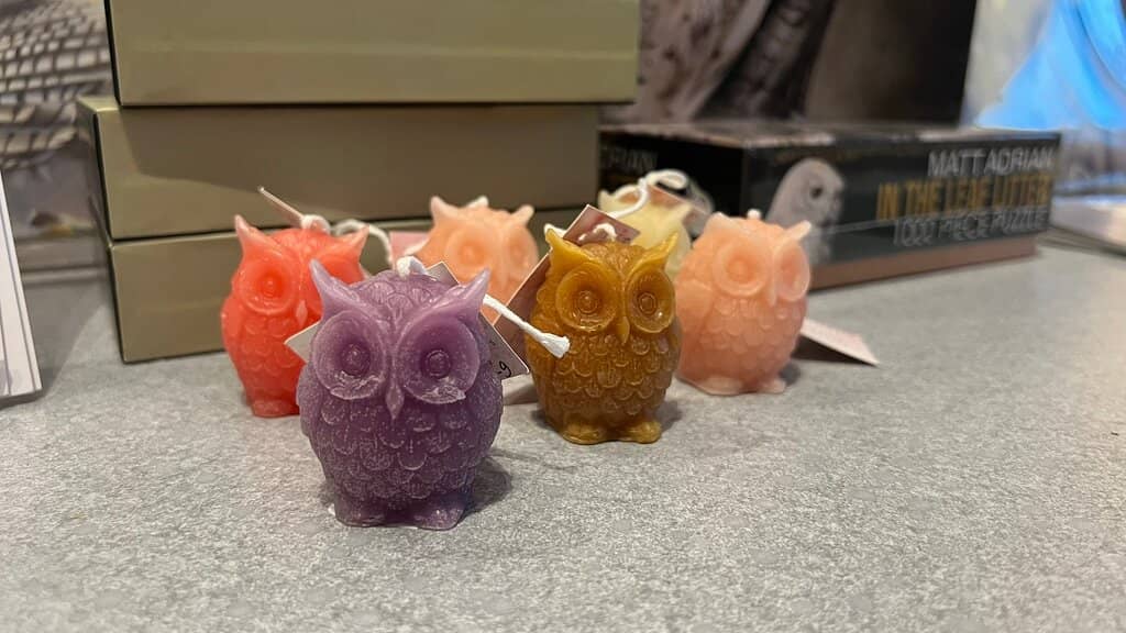 Sculpture Park Exploration