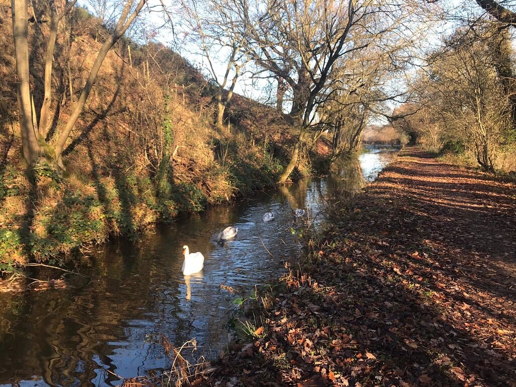 Maesbury Marsh Montgomery Canal