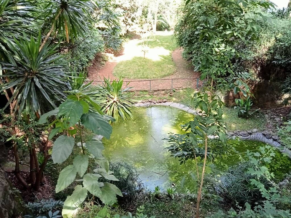 Greenery and Wildlife Spotting