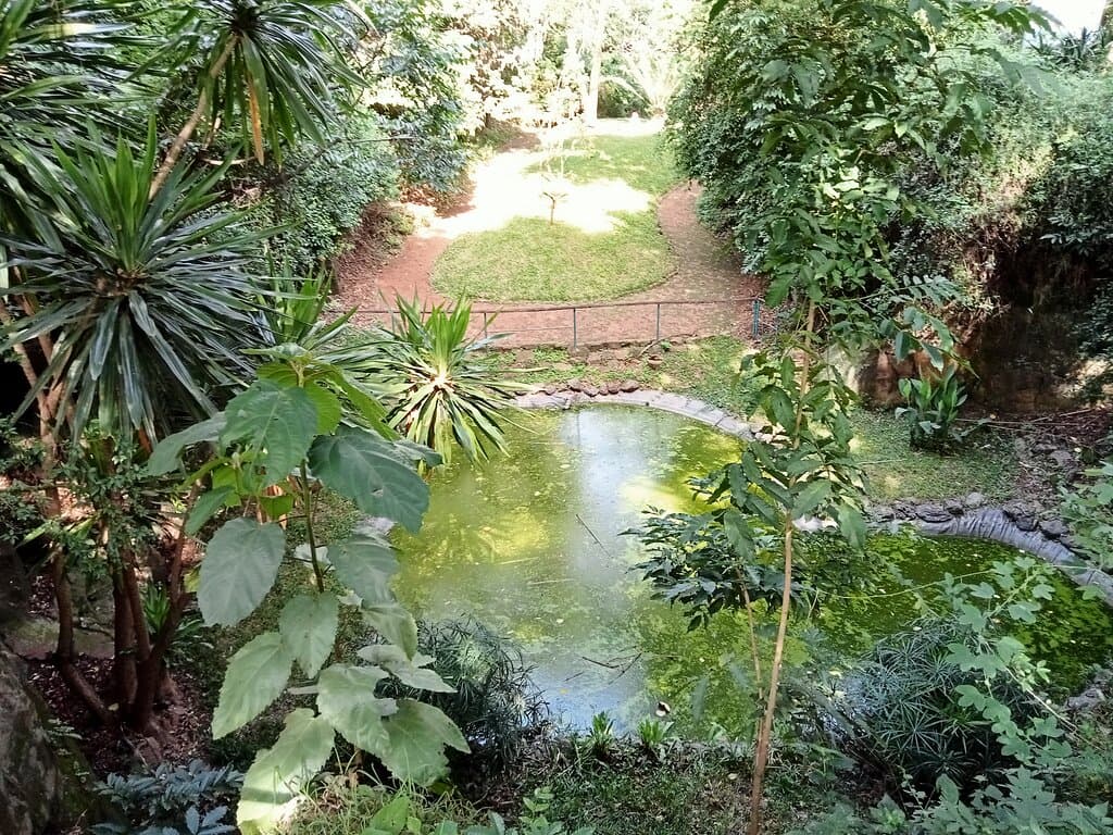 John Michuki Park, Nairobi, Kenya. December 2023