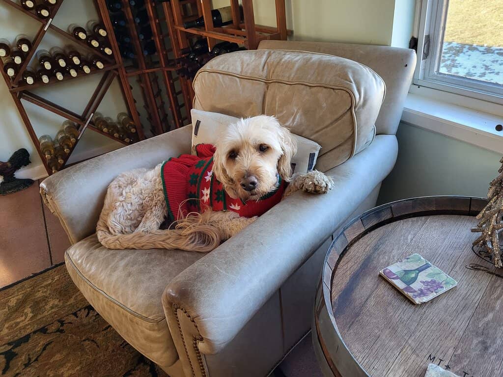 Live Music Saturdays