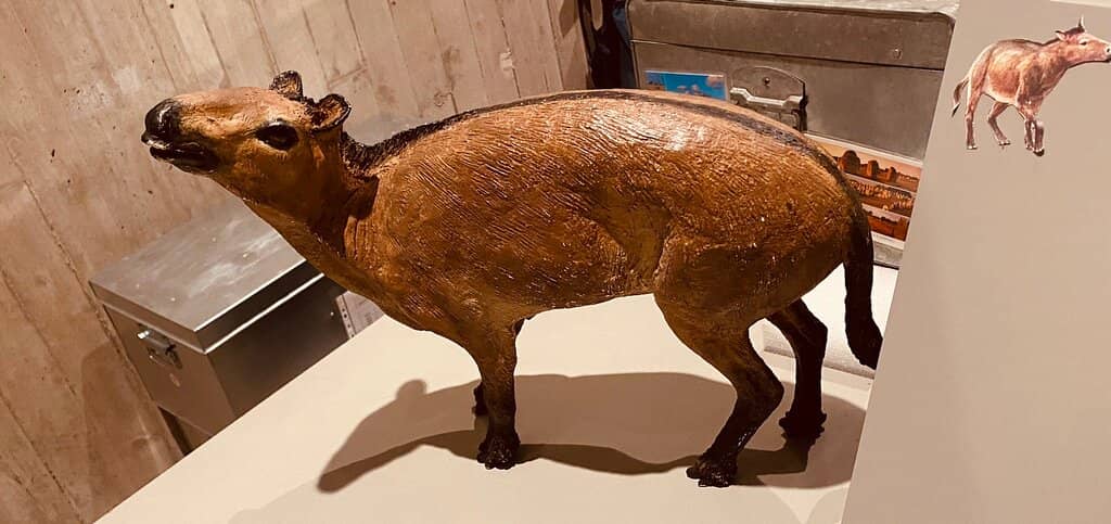 Interactive Museum Exhibits