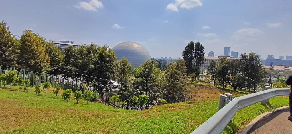 Lush Landscaped Gardens