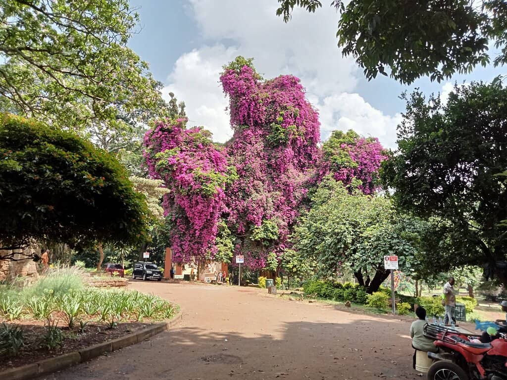 Nairobi National Park Proximity