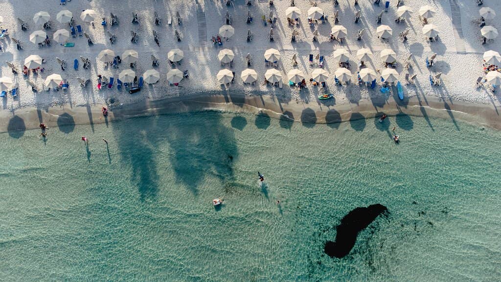 Lush Green Surroundings