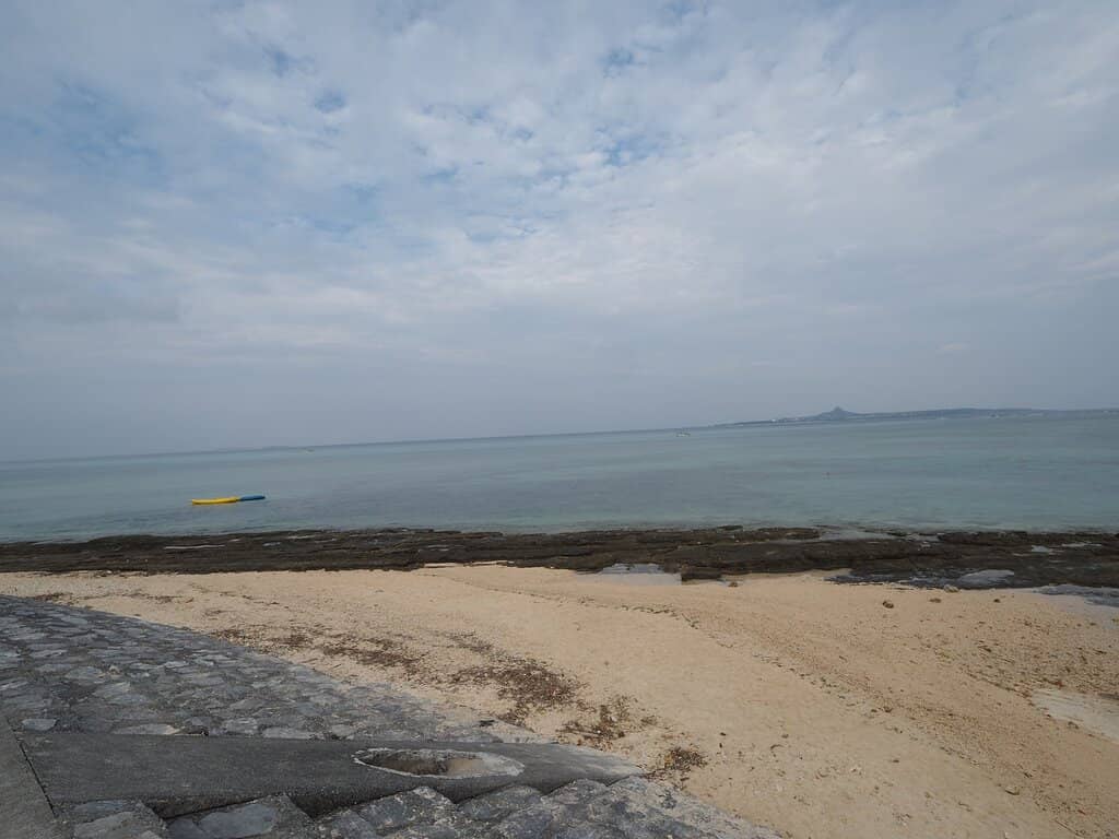 Scenic Tree-Lined Path