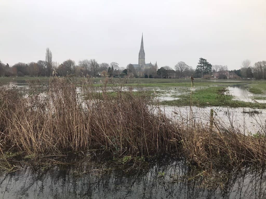 The 'Drowning' of the Meadows