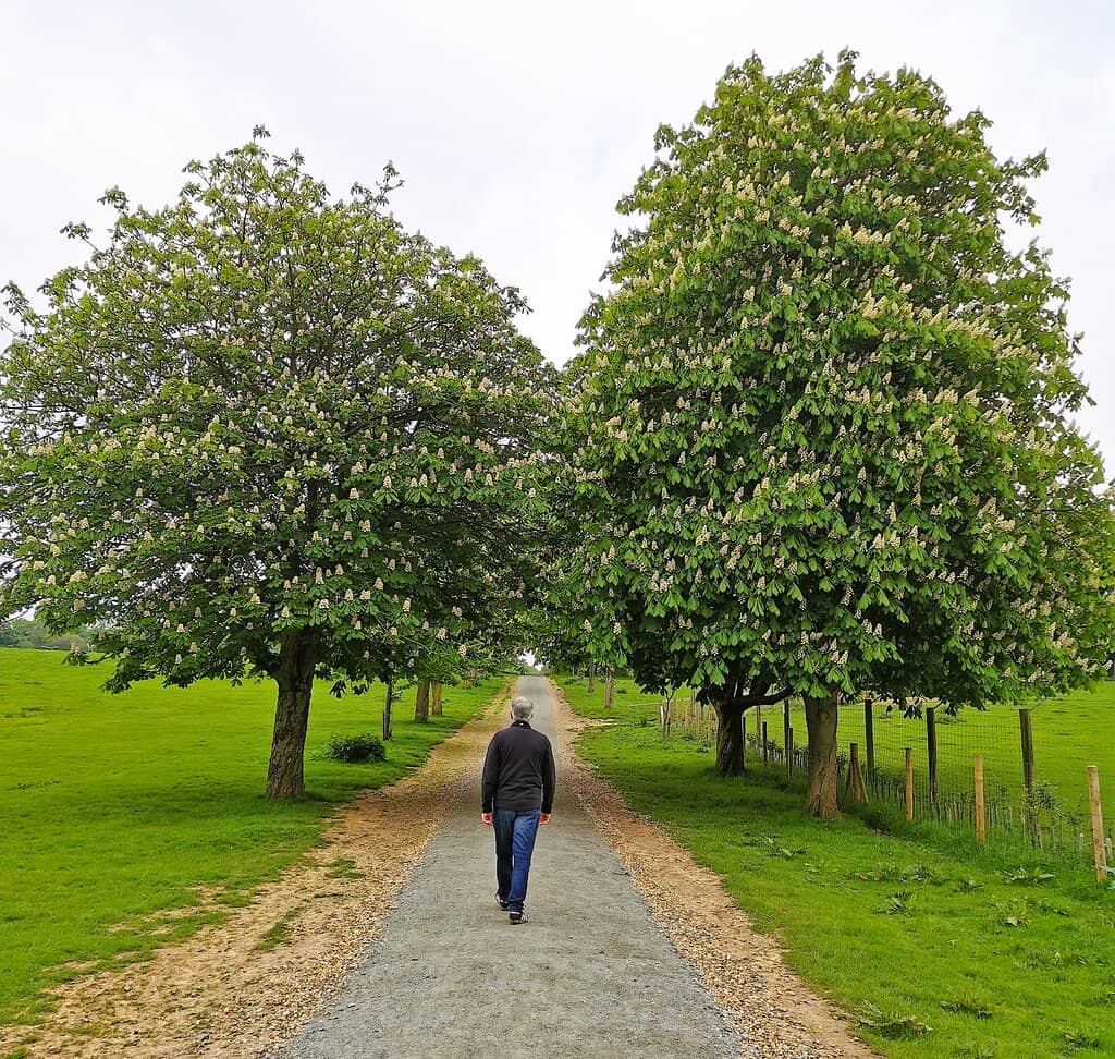 Children's Play Areas