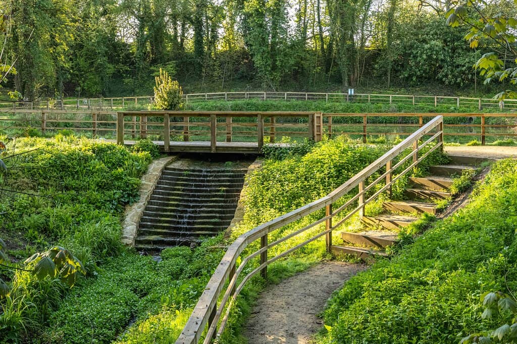 Richard Woods Water Garden