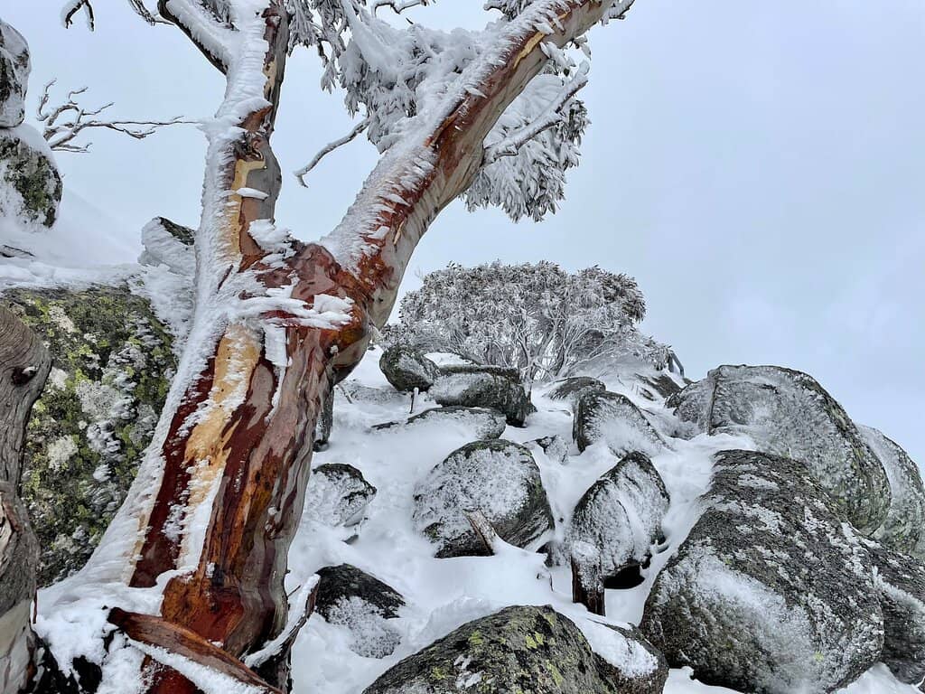 Guthega Power Station