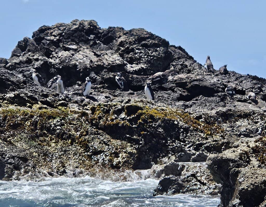 Scenic Coastal Views