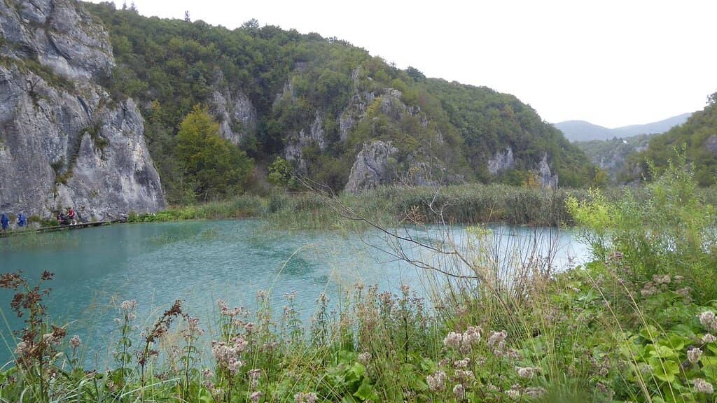 Picnic Spots Galore