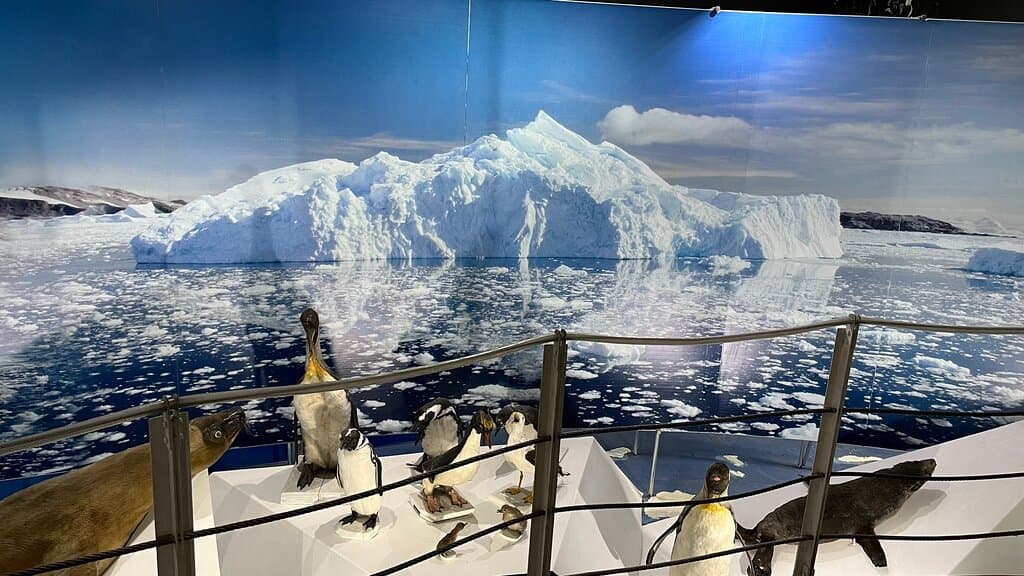 Museo Salesiano