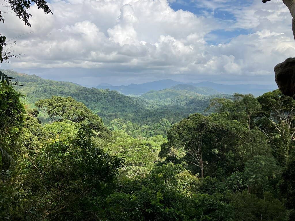 Soothing Hot Springs