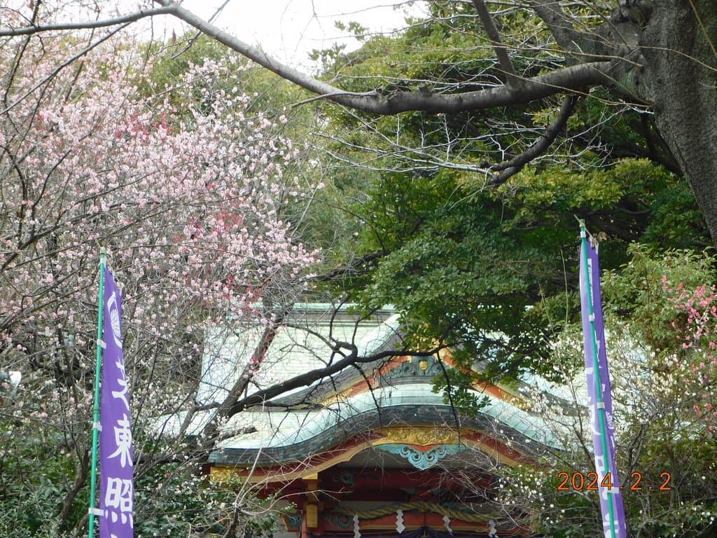 景観一例 2024年2月2日撮影