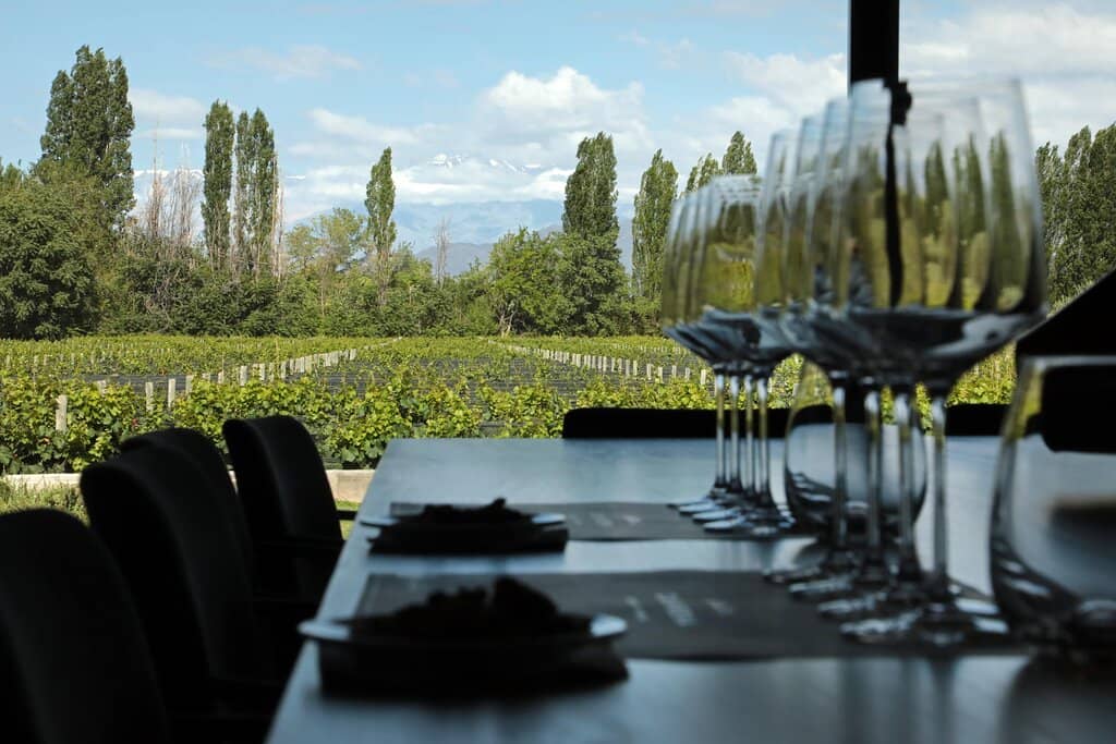 Savia Cocina Restaurant