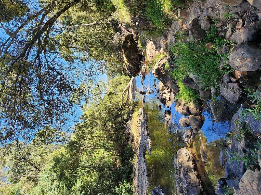 Scenic Walking Trails