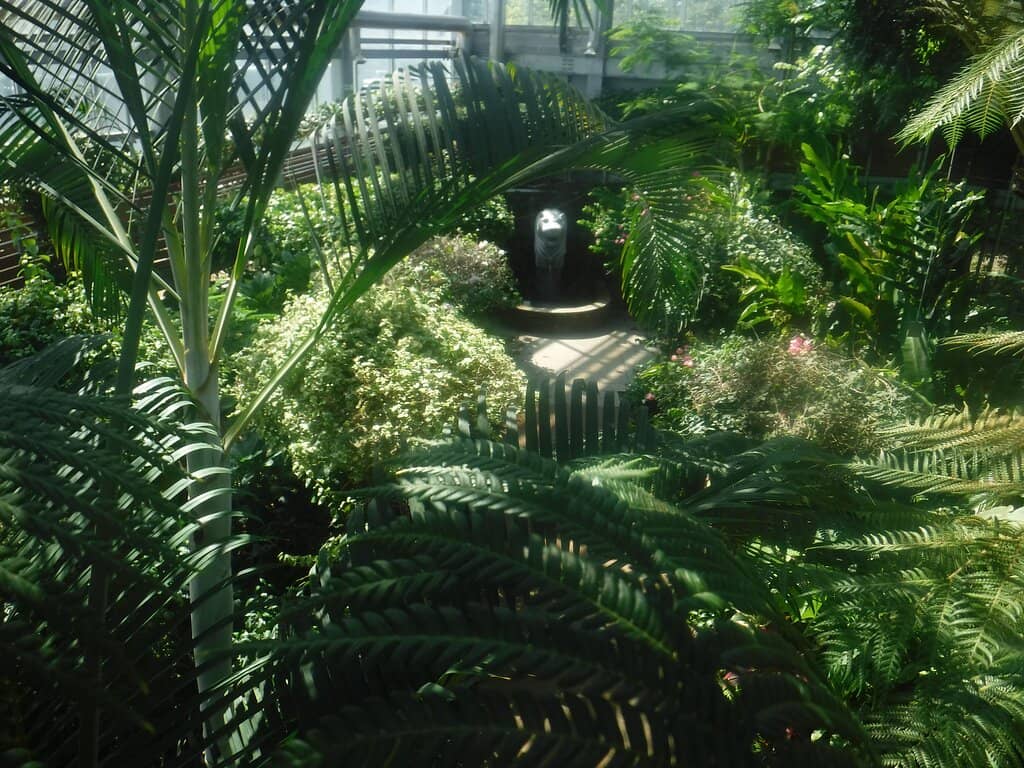 Tropical Greenhouses