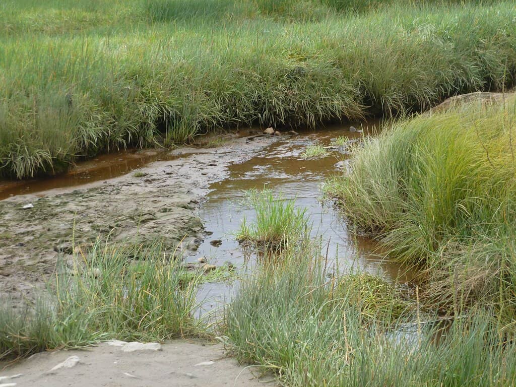 Interactive Marine Exhibits