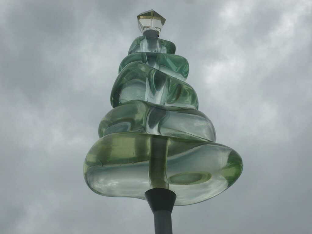 Low Tide Shoreline Exploration