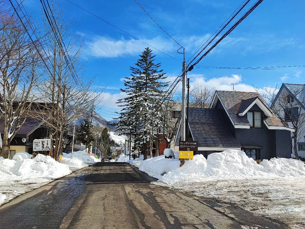 Through the Forest Trail