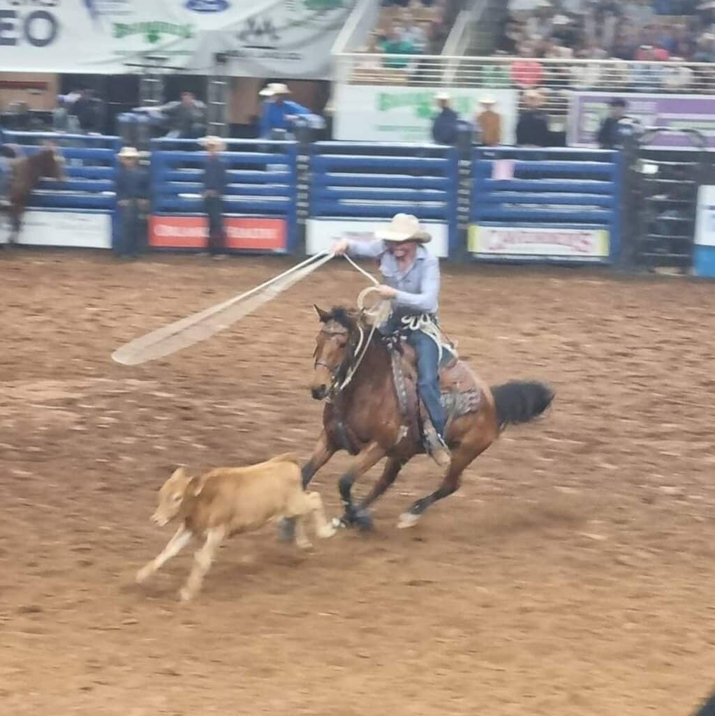 Highlights