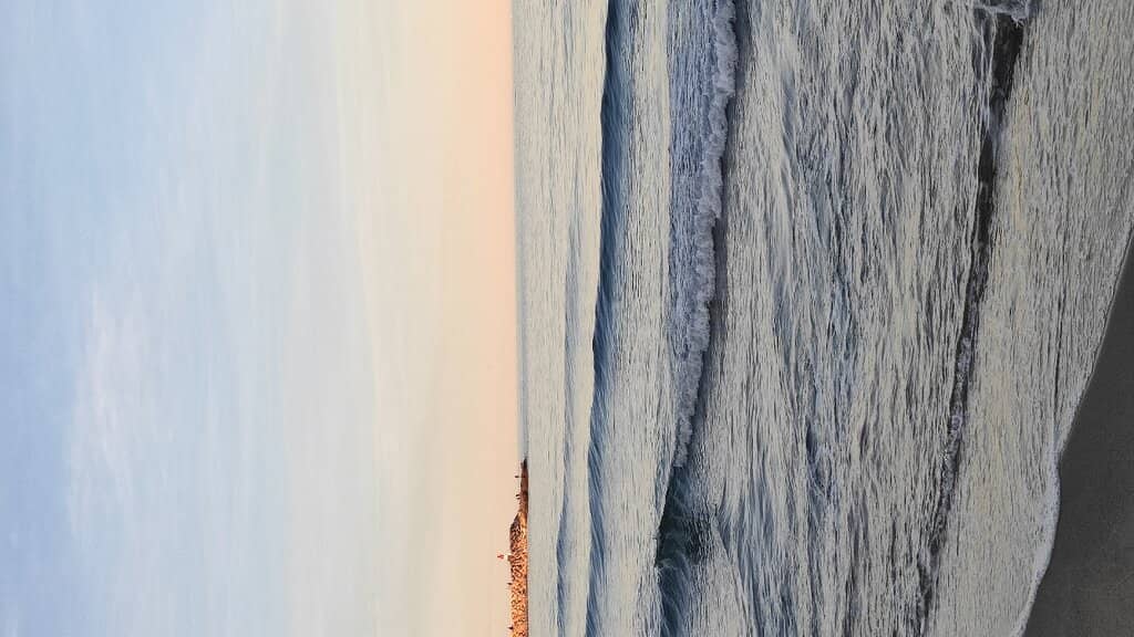 Convenient Amenities