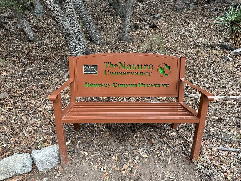 Abundant Wildlife Sightings