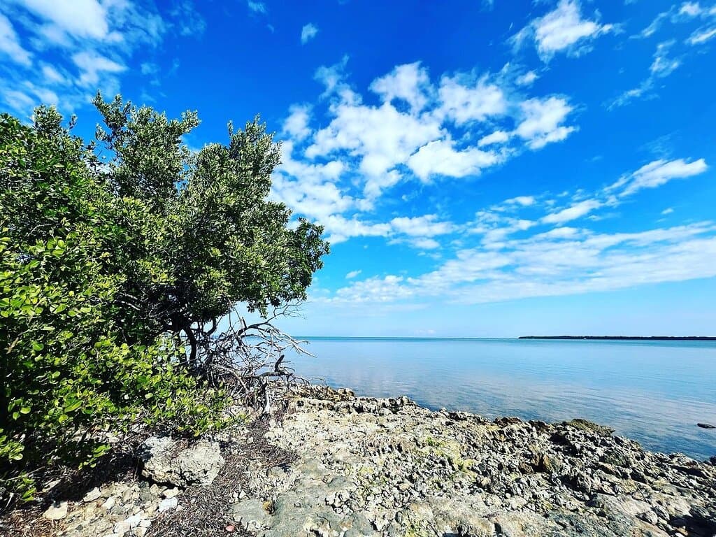 Old Settlers Park