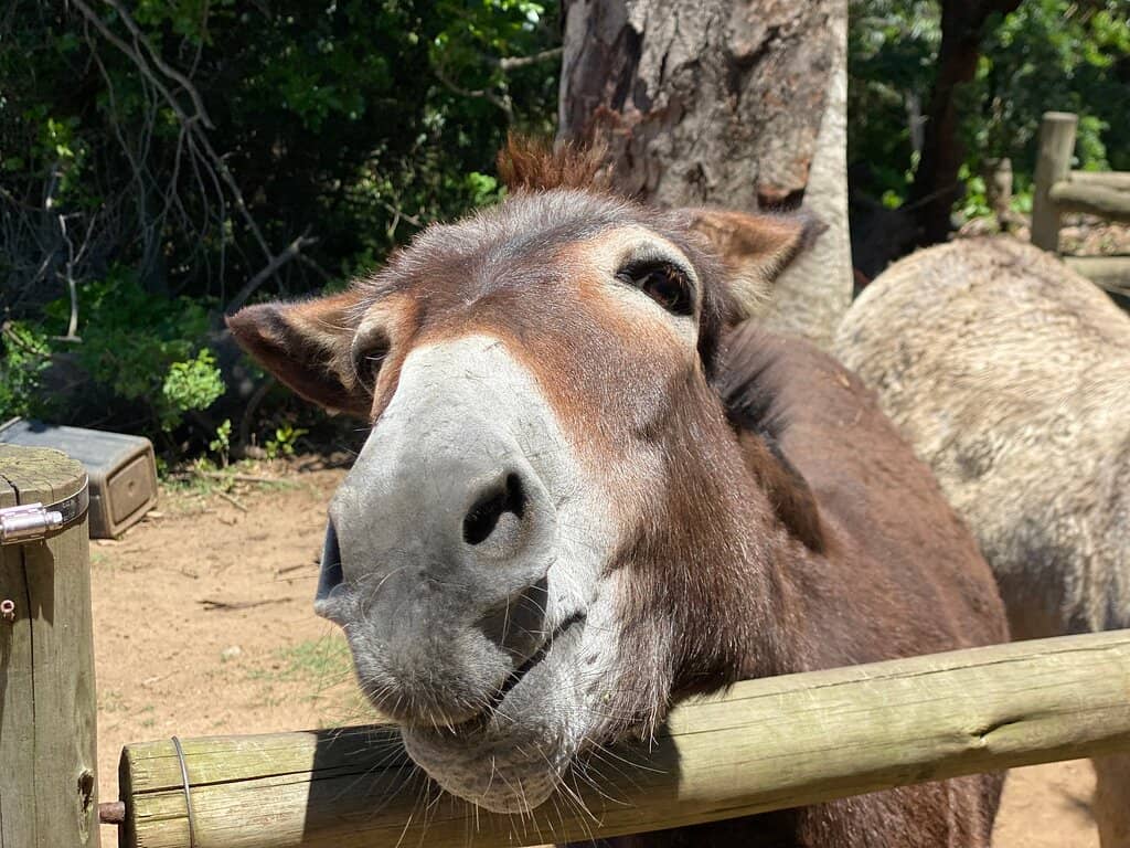 Braai & Picnic Spots