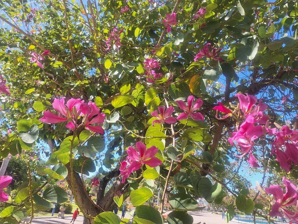 Redemption Song Statues