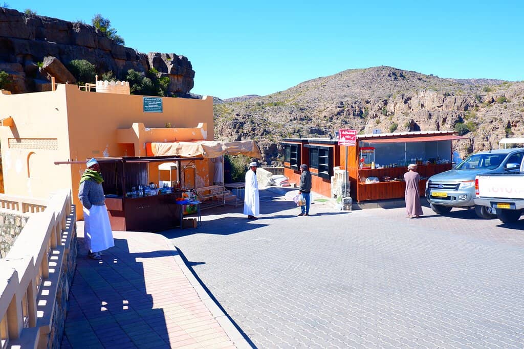 Lush Terraced Orchards