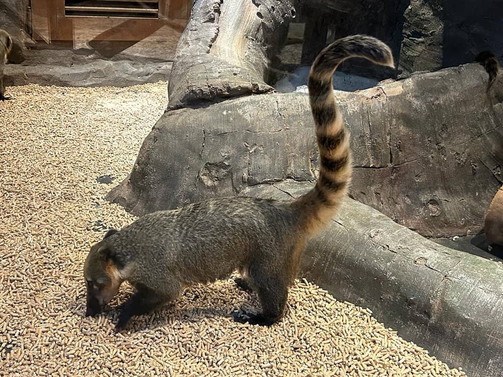 Stamp Mission Adventure