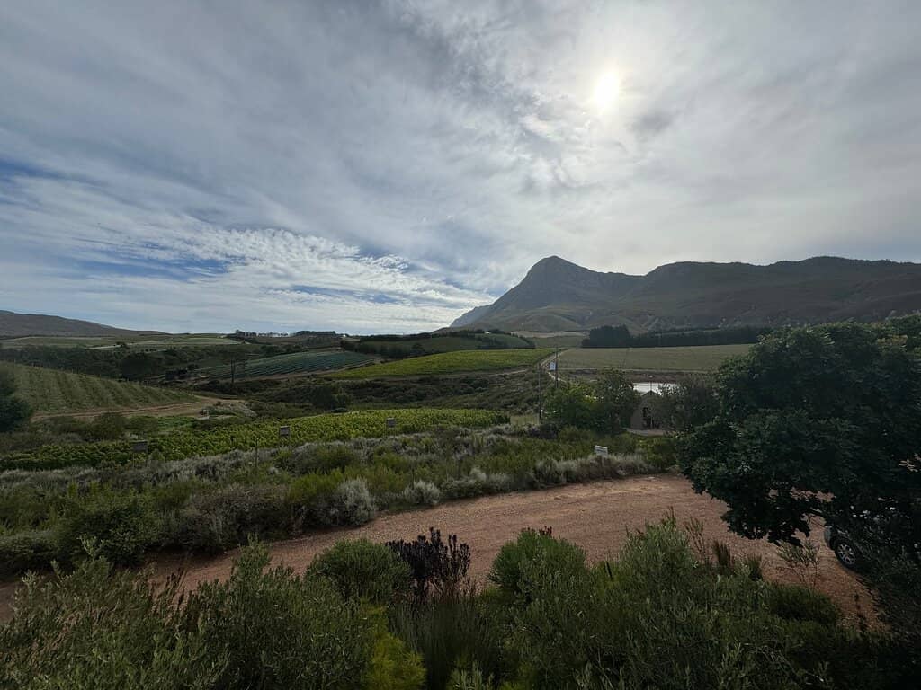 Art & Culture Displays