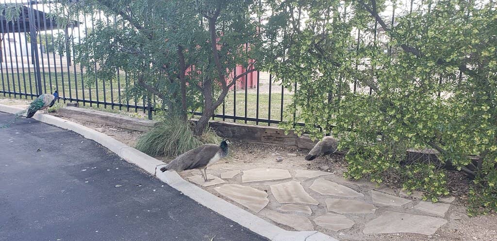 Water Conservation Education