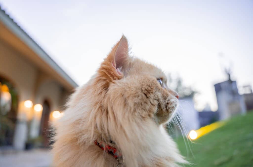 The Distillery & Brewery