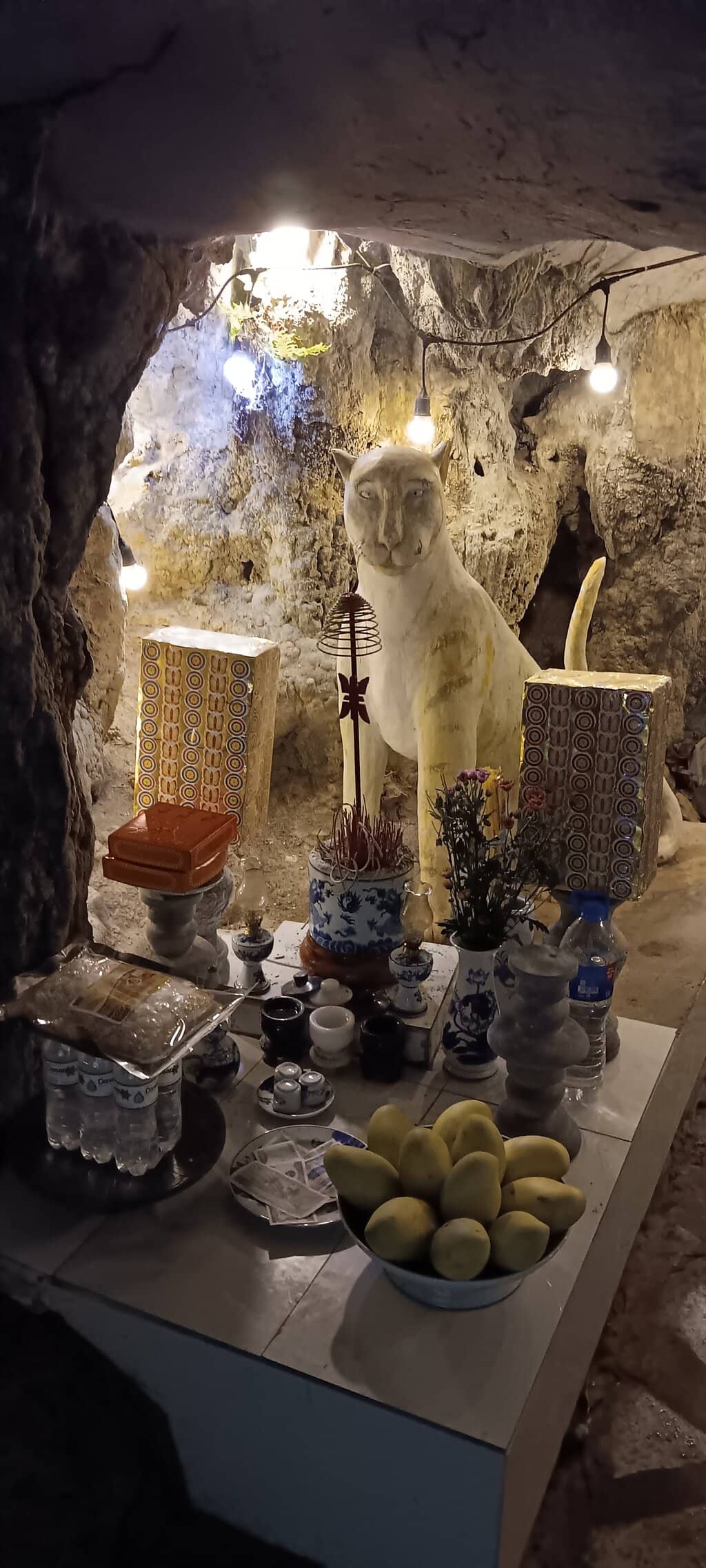 Peach Blossom Garden